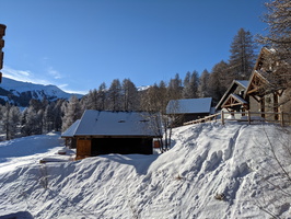 PXL 20210131 083745129